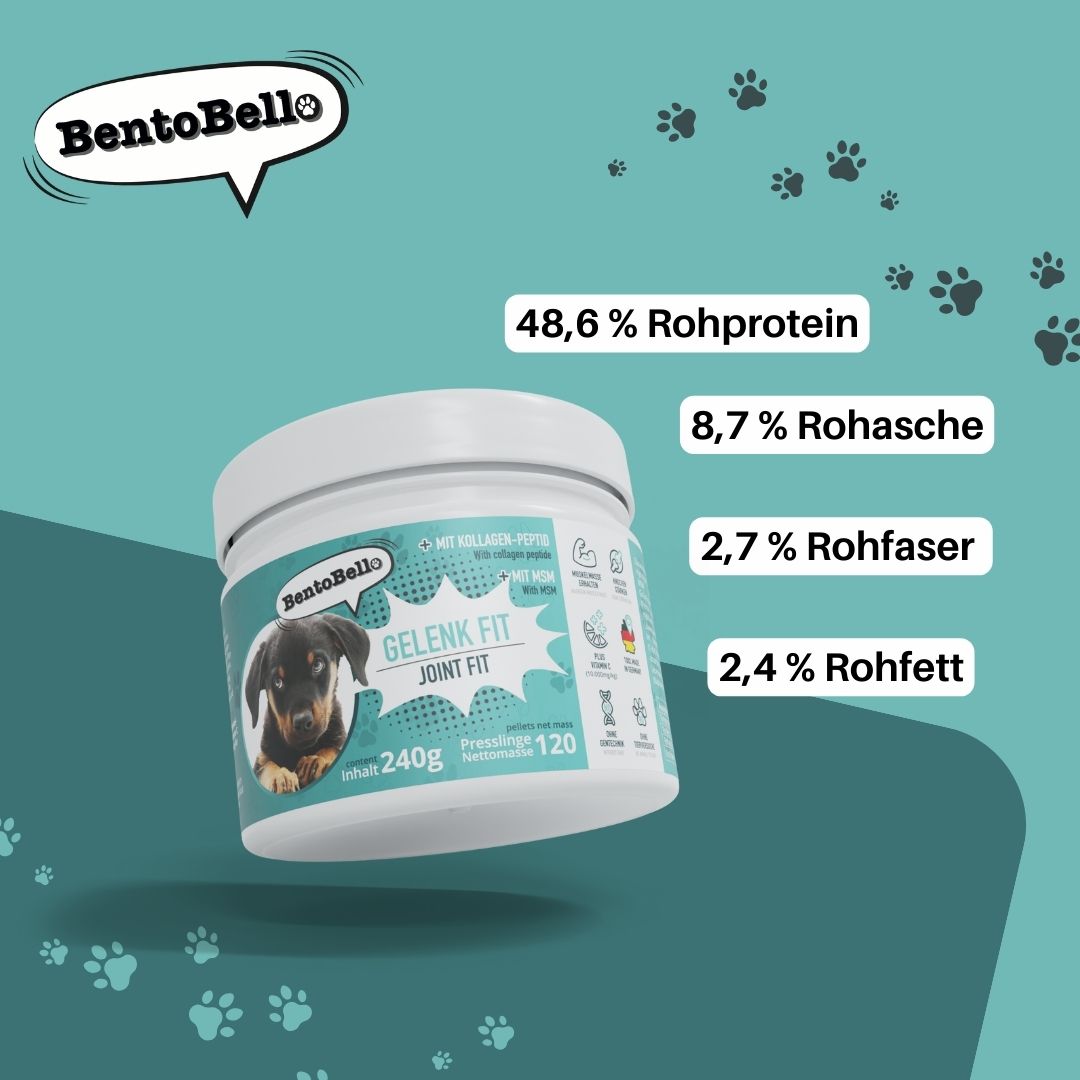 BentoBello Gelenkfit Gelenk- & Knochenschutz 240 Presslinge