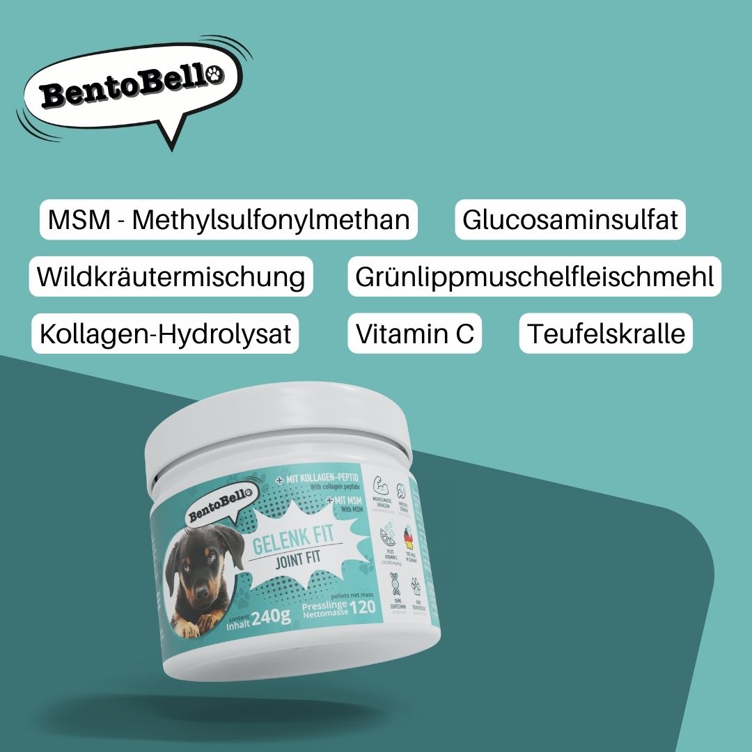 BentoBello Gelenkfit Gelenk- & Knochenschutz 240 Presslinge