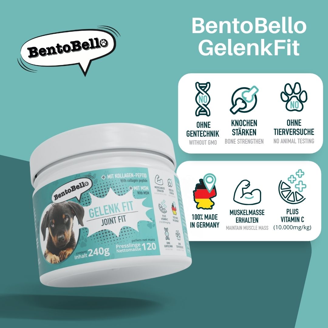 Gelenk- & Knochenschutz für Hunde