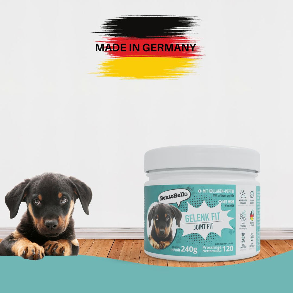 Gelenk- & Knochenschutz für Hunde
